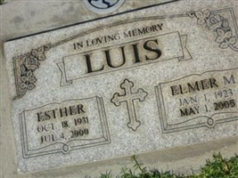 Elmer Matthew Luis
