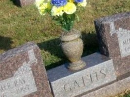 Elmer Ray Gattis Elmer Ray Gattis