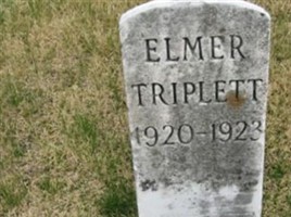 Elmer Triplett