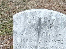Elmira Bitler