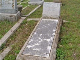 Elmira Dalrymple
