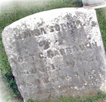 Elmira Sophia McClain Harbaugh