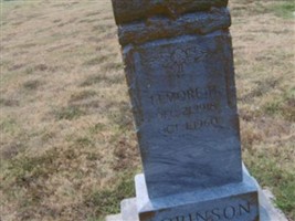 Elmore H. Robinson