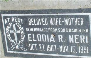 Elodia R. Rodriguez Neri