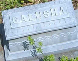 Elon Galusha Bonney