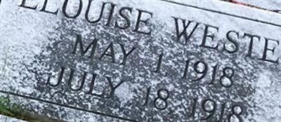 Elouise Wester
