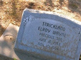 Elroy Wayne Strickland Elroy Wayne Strickland