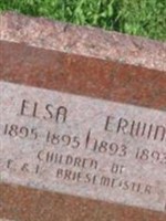 Elsa Edna Briesemeister