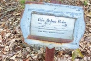 Elsie Andres Pedro