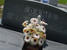 Elsie Mae Greggs Davis Elsie Mae Greggs Davis