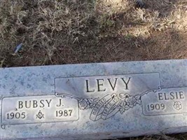 Elsie R. Levy