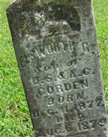 Elsworth G. Gorden