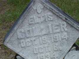 Eltis Collier Eltis Collier