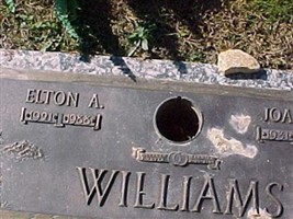 Elton A. Williams