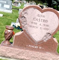 Elva Castro
