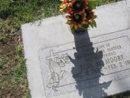 Elva M Moore