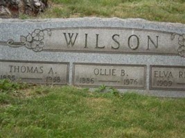 Elva Richards Wilson