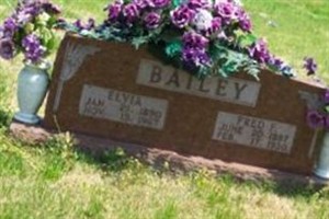Elvia Dillingham Bailey Elvia Dillingham Bailey