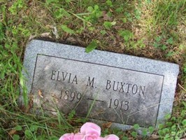 Elvia M Buxton