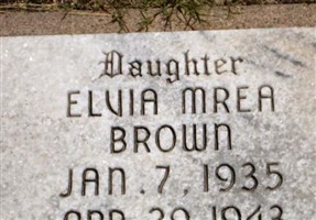 Elvia Mrea Brown