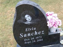 Elvia Sanchez Elvia Sanchez