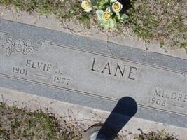 Elvie J Lane
