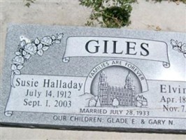 Elvin C Giles
