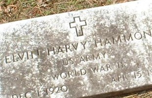 Elvin Harvy Hammons Elvin Harvy Hammons