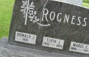 Elvin J Rogness