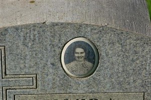 Elvira Importe