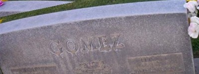 Elvira L. Gomez Elvira L. Gomez