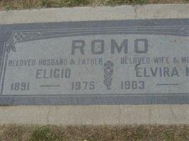 Elvira M Romo