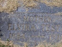 Elvira Testa
