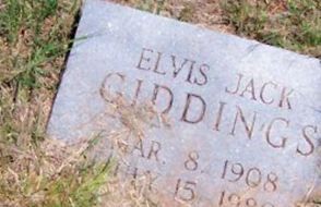 Elvis Jack Giddings Elvis Jack Giddings