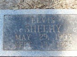 Elvis Sheehy