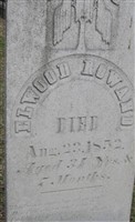 Elwood Rowand