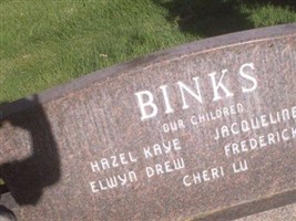 Elwyn Drew Binks