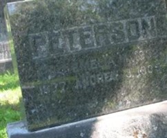 Emelia M. Sinke Peterson Emelia M. Sinke Peterson