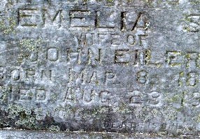 Emelia S. Fiske Eiler