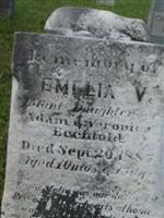 Emelia V Bechtold
