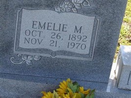 Emelie M. Netto Emelie M. Netto