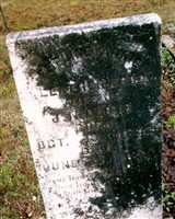 Emeline Annie Leatherwood Lloyd