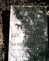 Emeline Annie Leatherwood Lloyd