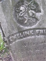 Emeline Frink Rice