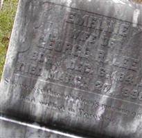 Emeline Lee
