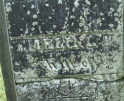 Emeline P Cottrell Birdsall