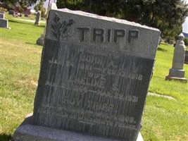 Emeline S. Tripp Emeline S. Tripp