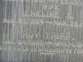 Emeline S. Tripp Emeline S. Tripp