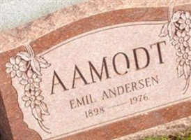 Emil Andersen Aamodt
