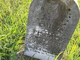 Emilie Fischer
